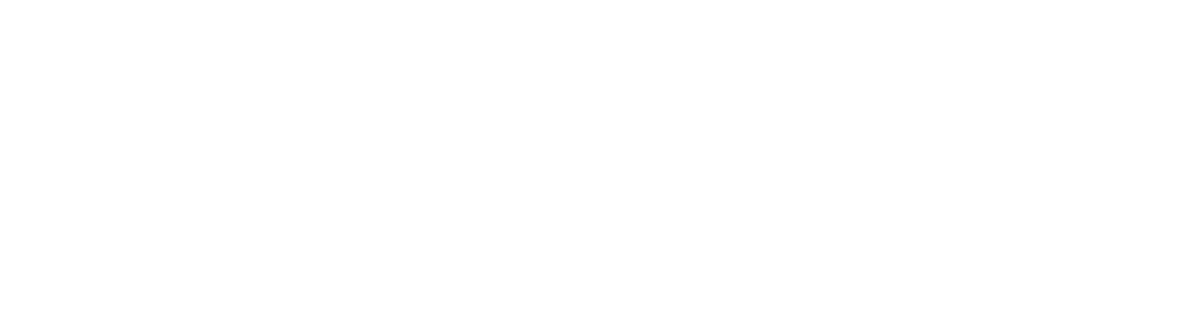 swasthi wordmark